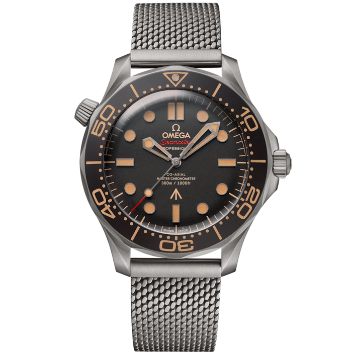 Omega Seamaster 21090422